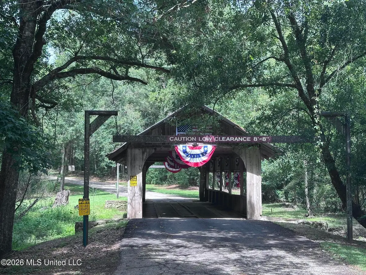 Covered Bridge Road, Carriere, MS 39426 - #1