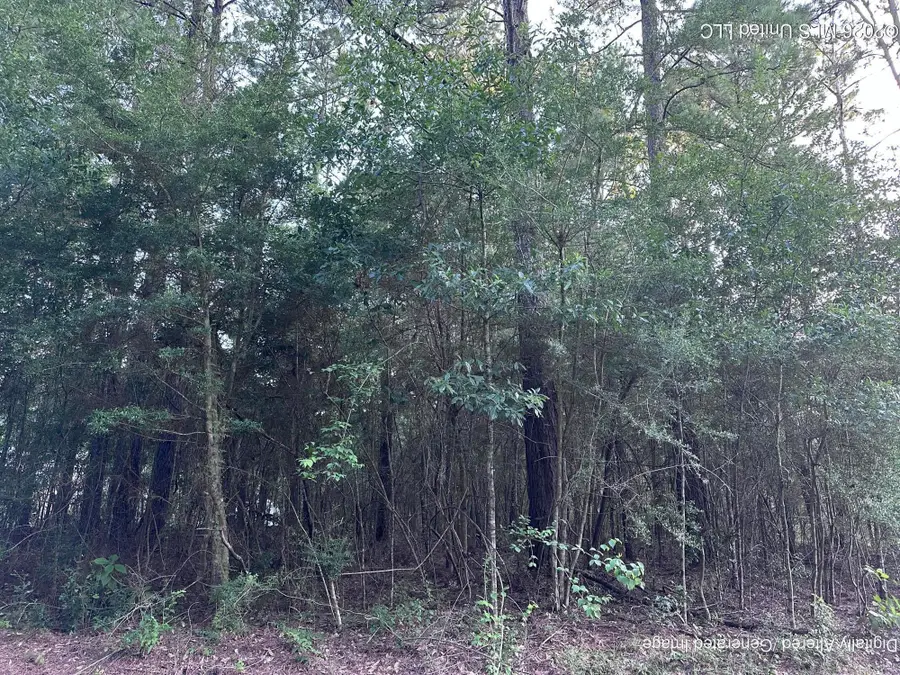 Covered Bridge Road, Carriere, MS 39426 - #3