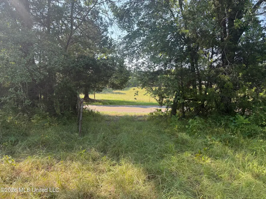 Joe Hall Road, Flora, MS 39071 - #2