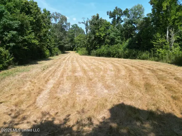 Oil Well Road, Fayette, MS 39069