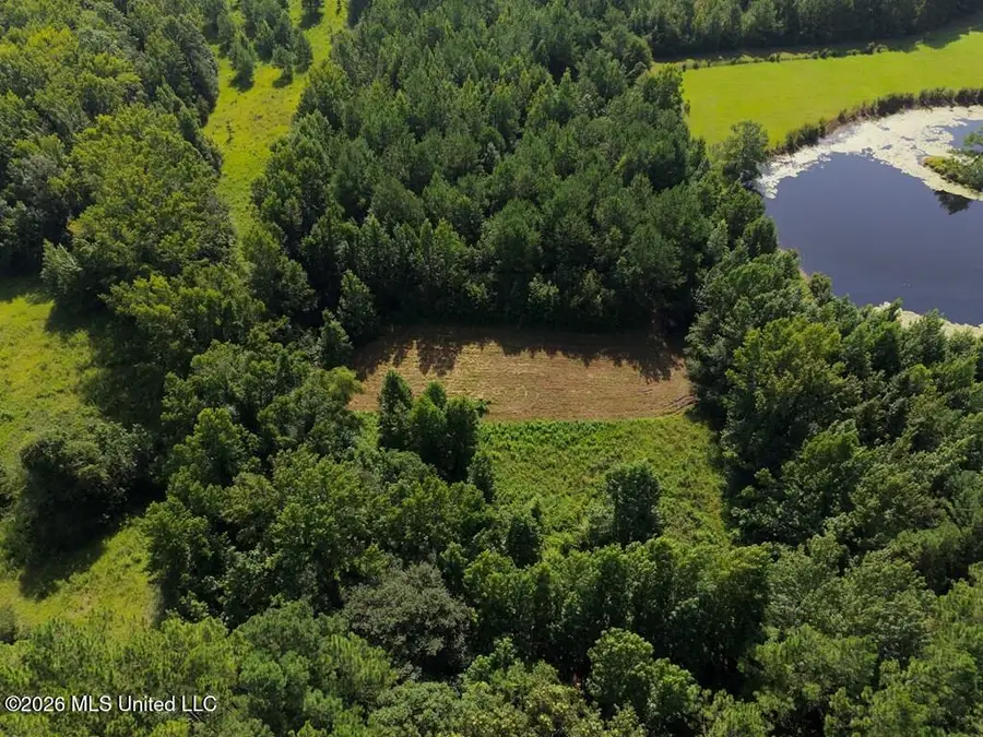 Remington Road, Poplarville, MS 39470 - #2