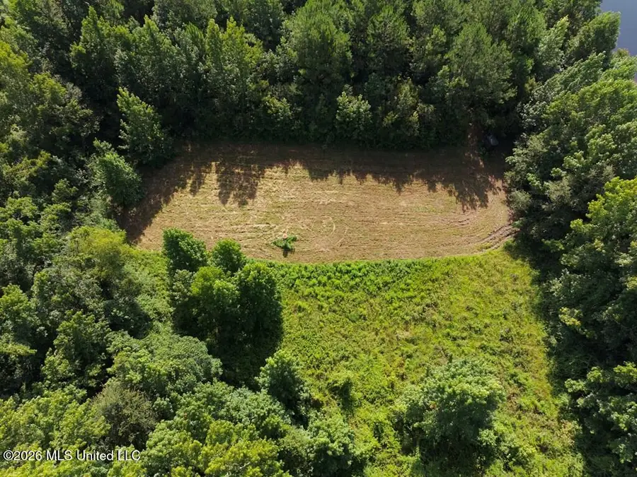 Remington Road, Poplarville, MS 39470 - #3