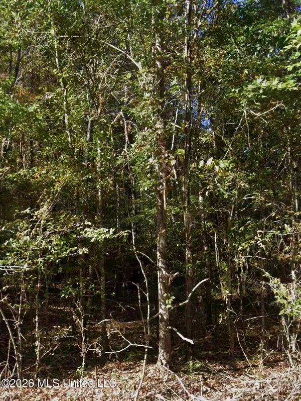 S Springdale Road, Jackson, MS 39209
