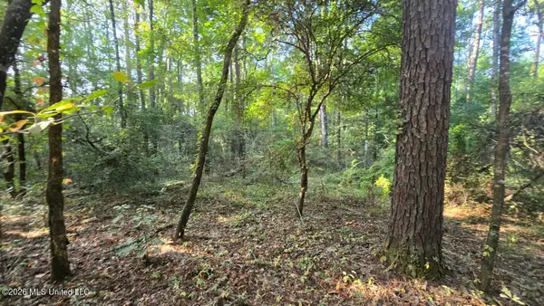 Stump Road, Gloster, MS 39638