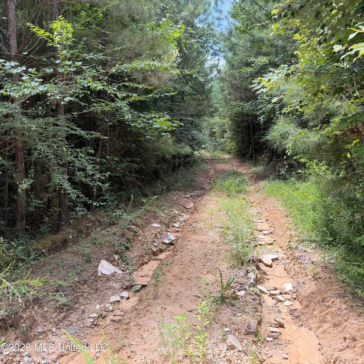 7510 Morton-marathon Road, Pulaski, MS 39152 - #1