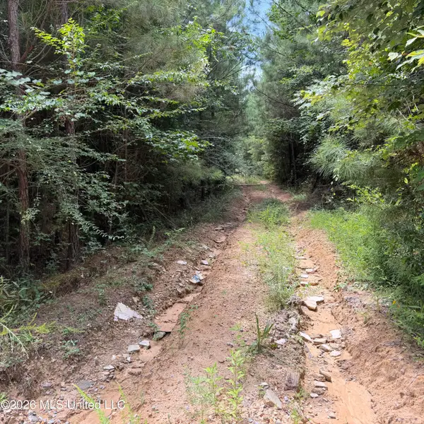 7510 Morton-marathon Road, Pulaski, MS 39152