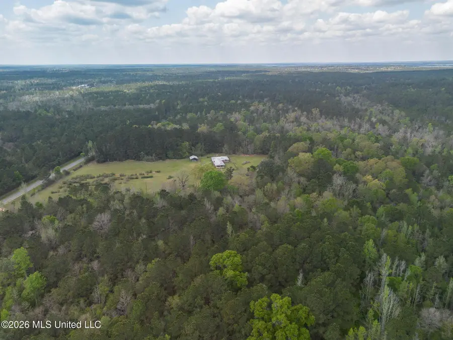 Turp Maples Road, Perkinston, MS 39573 - #2