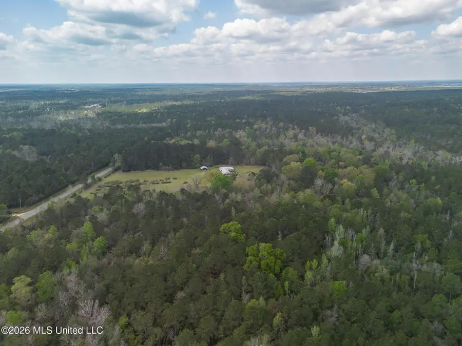 Turp Maples Road, Perkinston, MS 39573 - #3