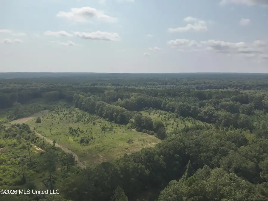 149 Gober Road, Camden, MS 39045 - #2
