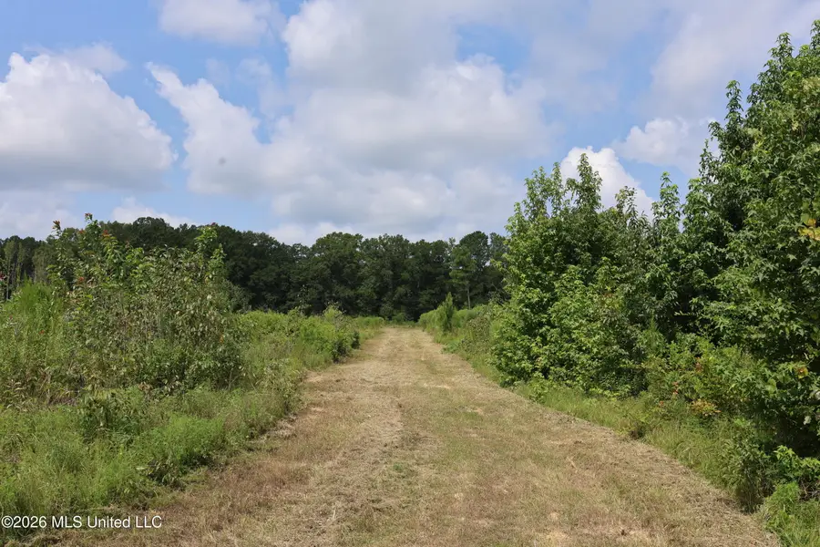 149 Gober Road, Camden, MS 39045 - #3