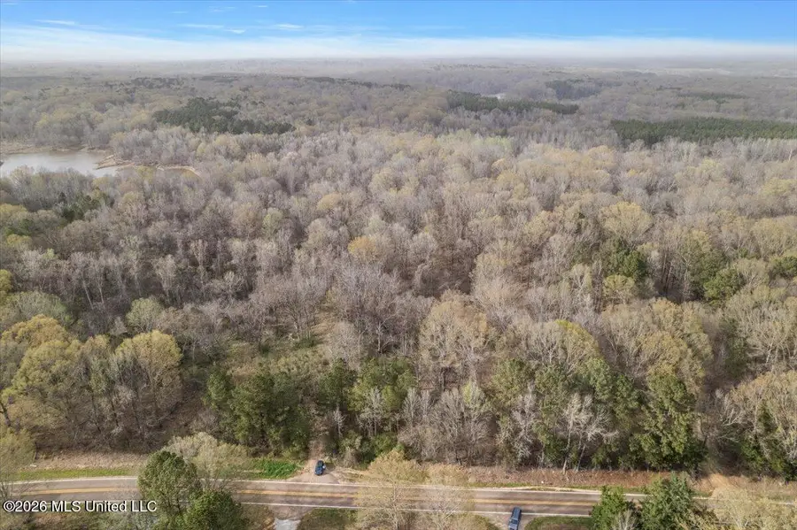 Hwy 433, Bentonia, MS 39040 - #2