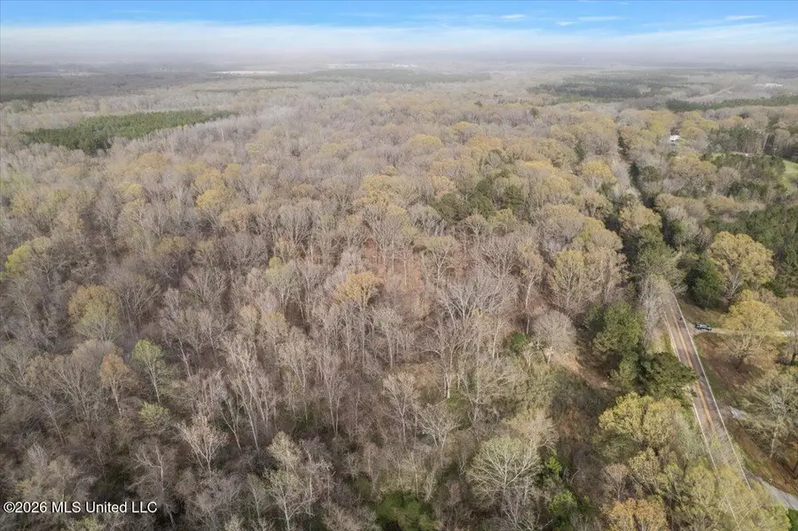 Hwy 433, Bentonia, MS 39040 - #3