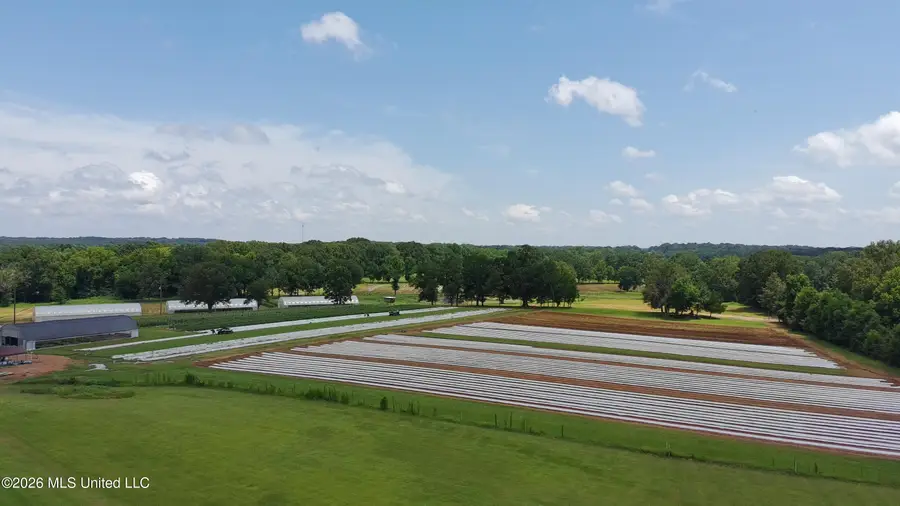 256 1st Street, Flora, MS 39071 - #3