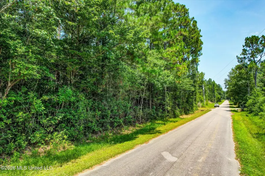 17353 Carnation Street, Kiln, MS 39556 - #2