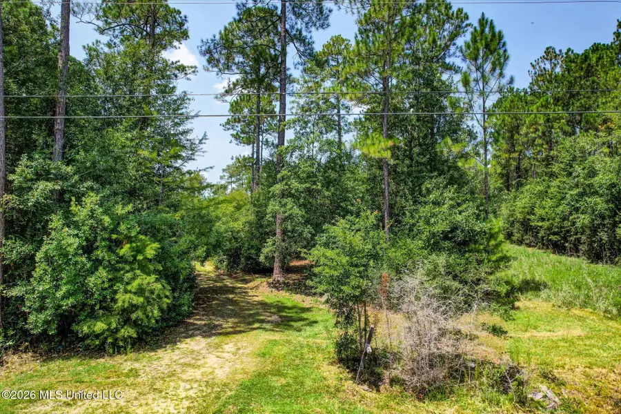 17353 Carnation Street, Kiln, MS 39556 - #3
