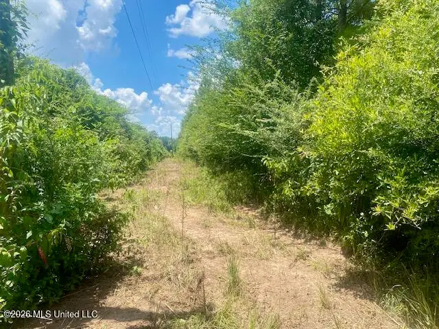 Archie Boyd Road, Jayess, MS 39641 - #1