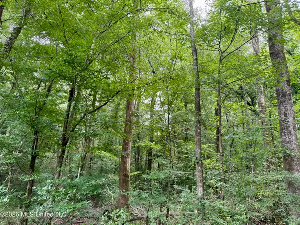 2194 Mississippi 570, Summit, MS 39666