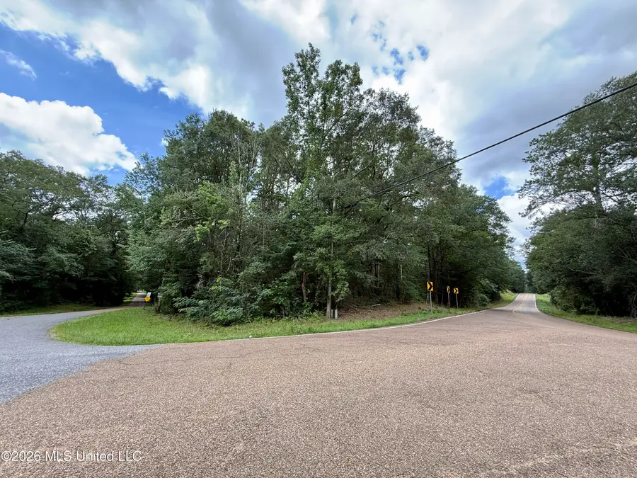 2194 Mississippi 570, Summit, MS 39666 - #3