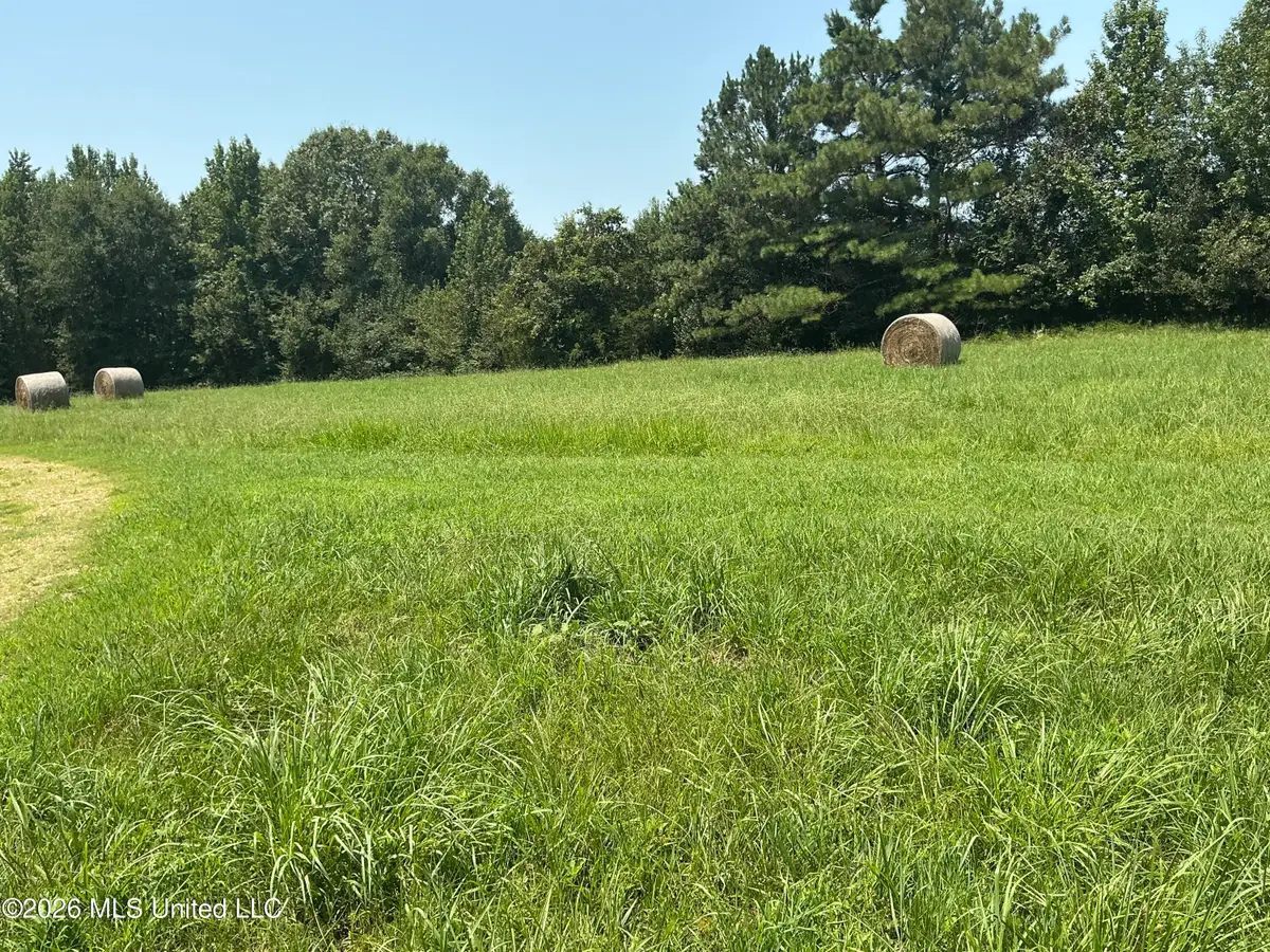 478 Deer Creek Road, Byhalia, MS 38611 - #1