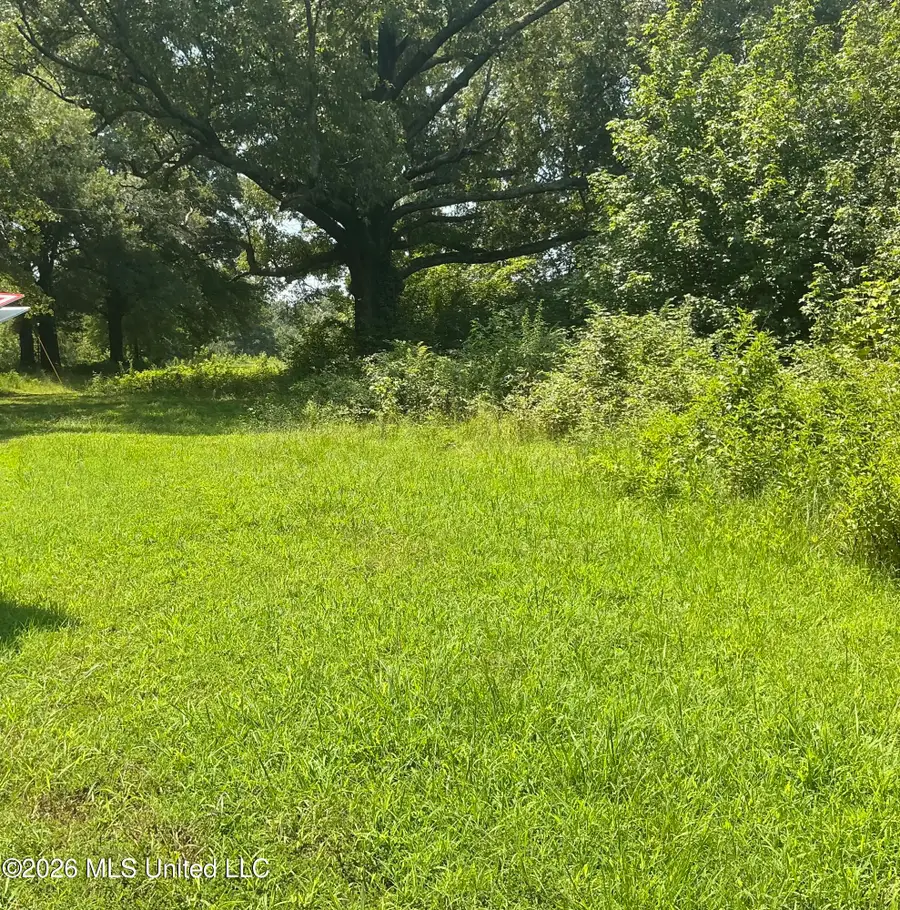 478 Deer Creek Road, Byhalia, MS 38611 - #3