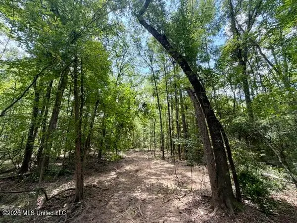 SE Lee Drive, Bogue Chitto, MS 39629