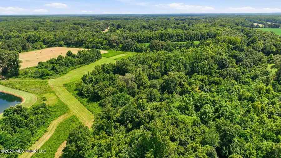 2363 Fugates Road, Bentonia, MS 39040 - #3