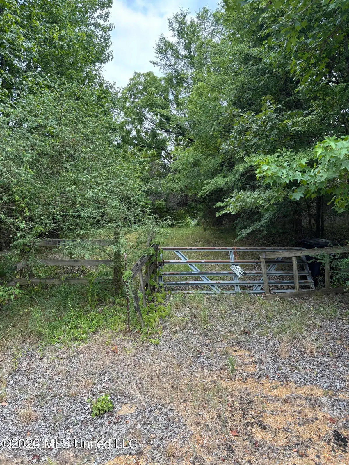1360 Dallas Road, Sarah, MS 38665 - #1