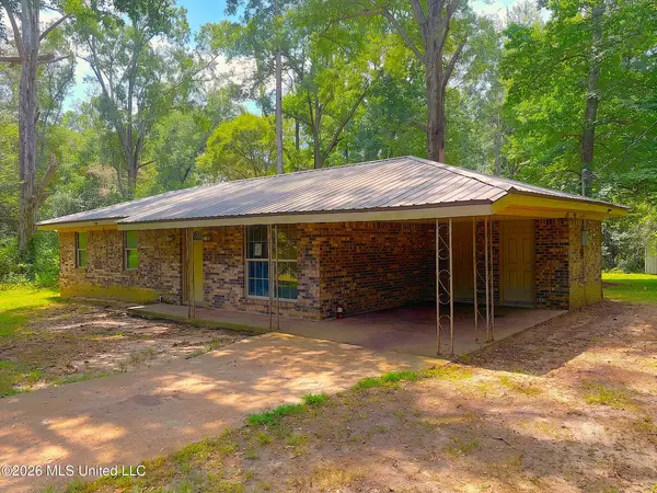 371 Baldwin Road, Mount Olive, MS 39119