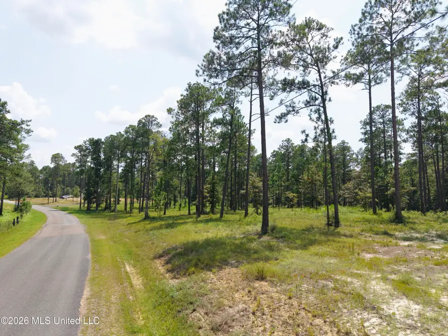 Cowart Holiday Road, Poplarville, MS 39470 - #3