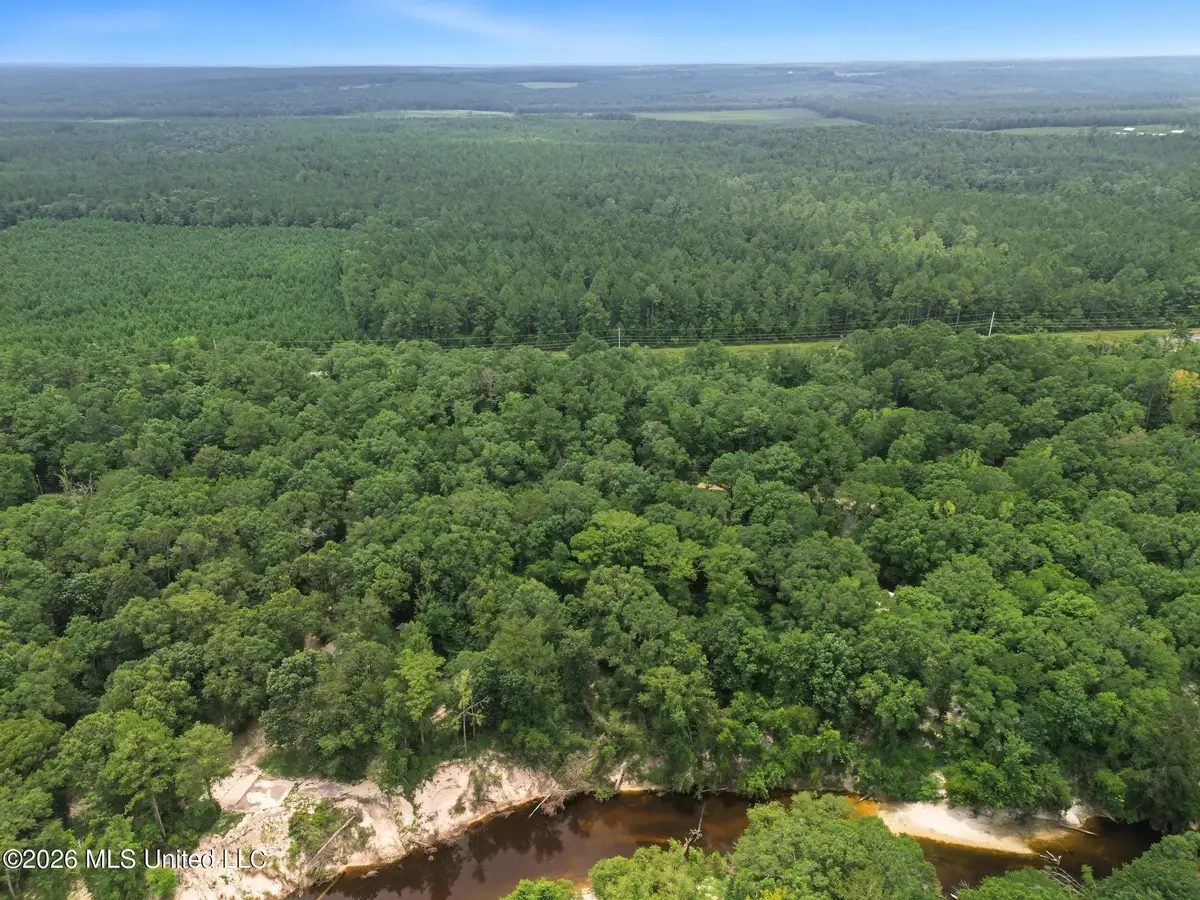 Shep Batson Road, Wiggins, MS 39577 - #1