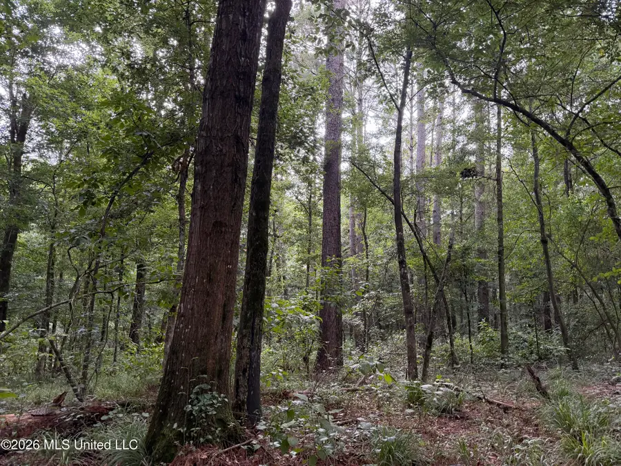 Shiloh Road, Pelahatchie, MS 39145 - #3