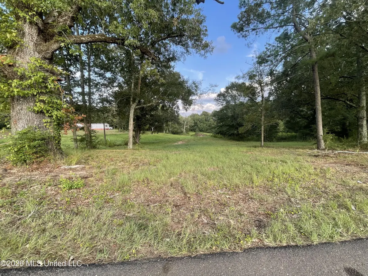 Roberts Lane, Wesson, MS 39191 - #1