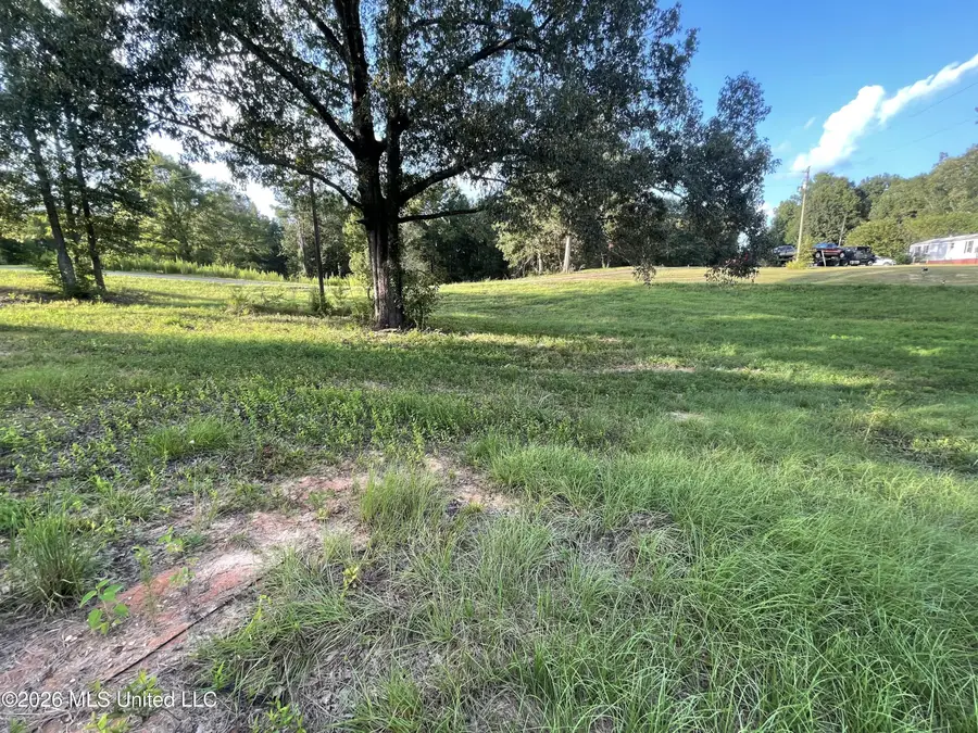 Roberts Lane, Wesson, MS 39191 - #3