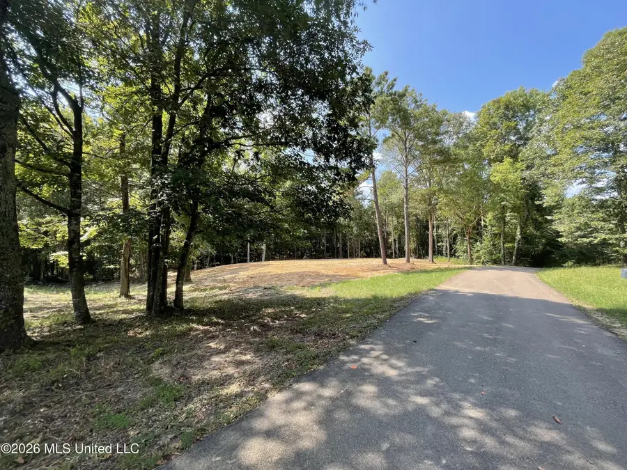 Roberts Lane, Wesson, MS 39191 - #2