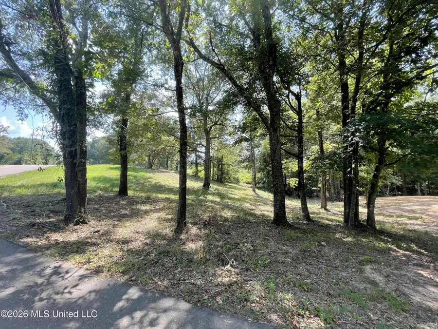 Roberts Lane, Wesson, MS 39191 - #3