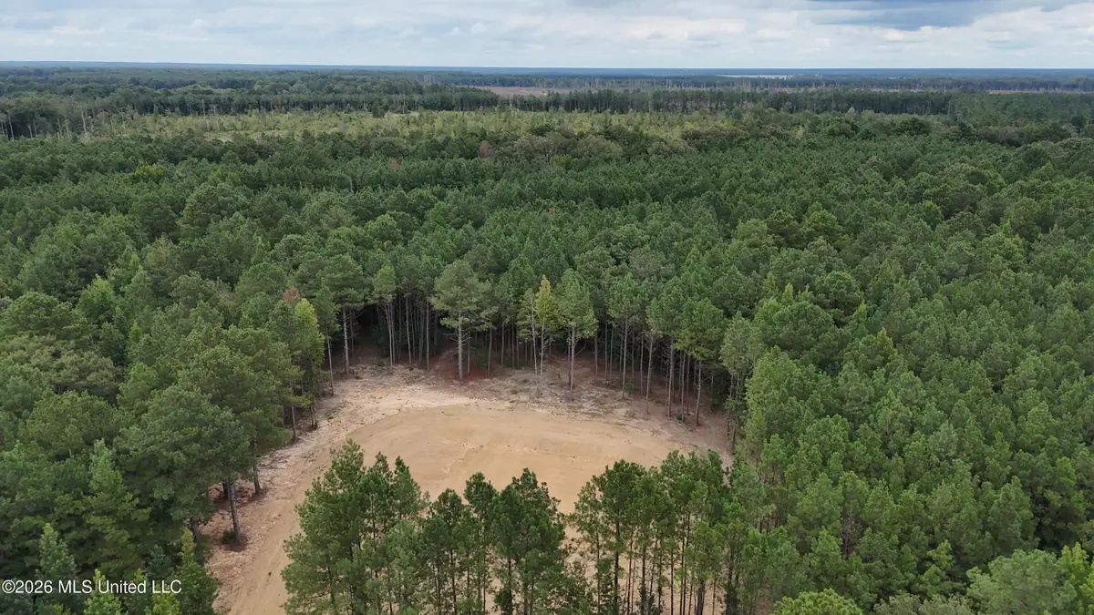 681 Lone Pine Church Road, Lena, MS 39094 - #1