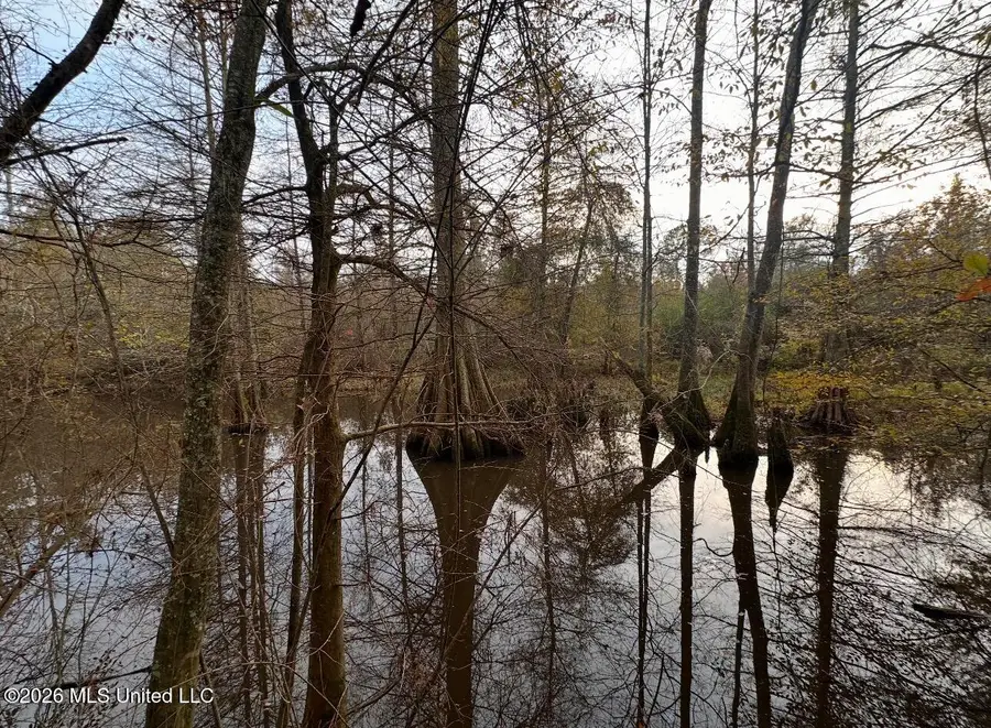 00 Midway Odom Rd, Forest, MS 39074 - #3