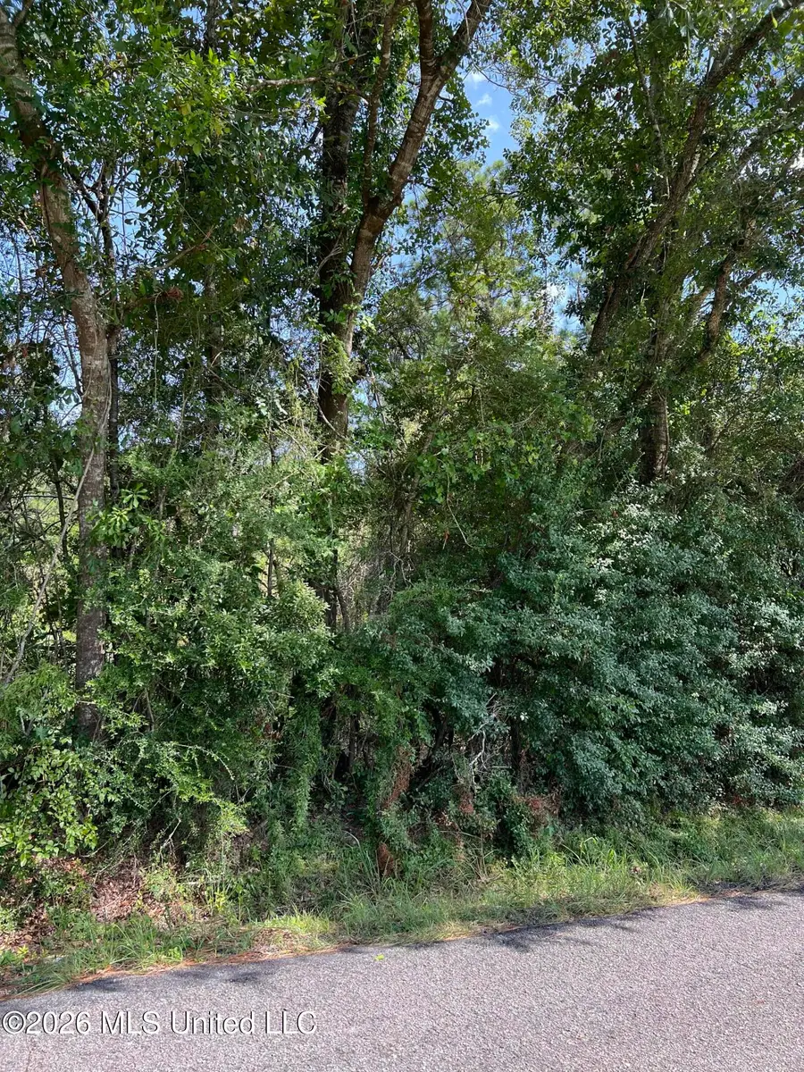 Mennonite Road, Gulfport, MS 39503 - #3