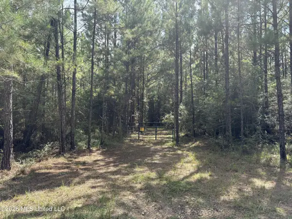 259 Forest Lake Road, Beaumont, MS 39423