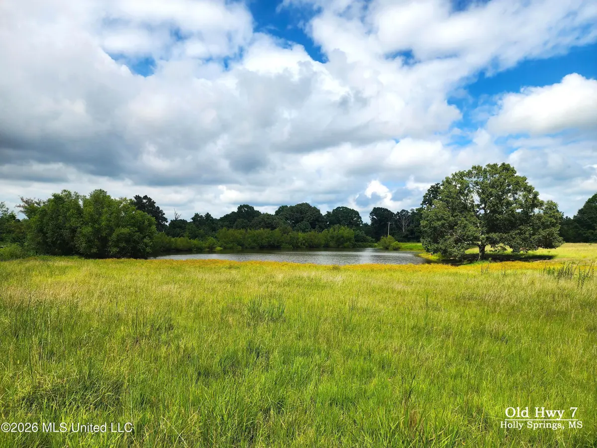 Old Hwy 7, Holly Springs, MS 38635 - #1