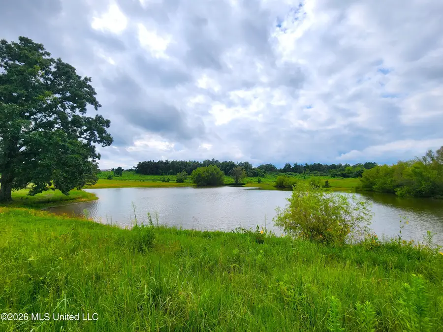 Old Hwy 7, Holly Springs, MS 38635 - #3
