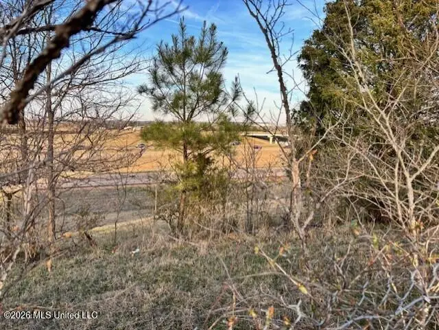 100 Dempsey Dr., Byhalia, MS 38611 - #1