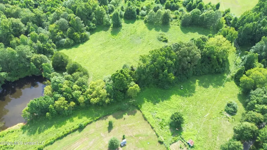 386 E Smith County Road 111-a, Raleigh, MS 39153 - #3
