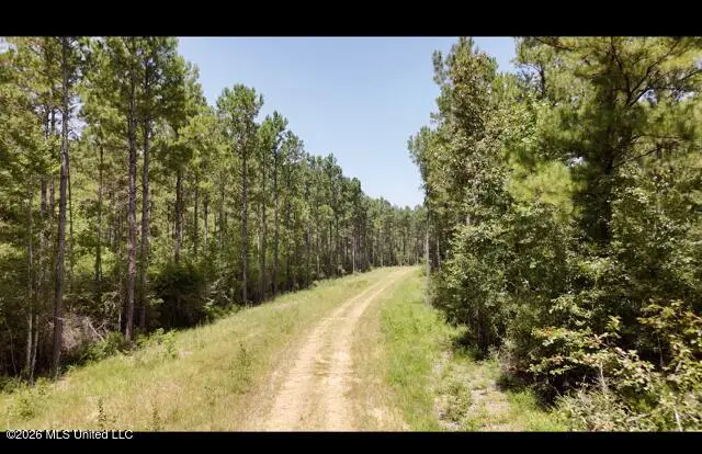 Storey Parkman, Oak Vale, MS 39656 - #2