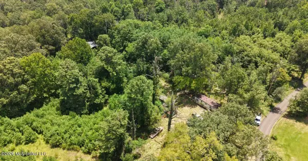 258 Pine Tree Lane, Ridgeland, MS 39157