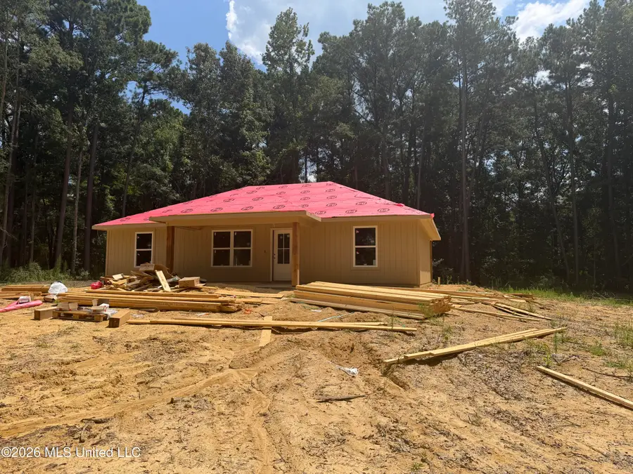 4241 Morton-rankin County Line Road, Morton, MS 39117 - #2