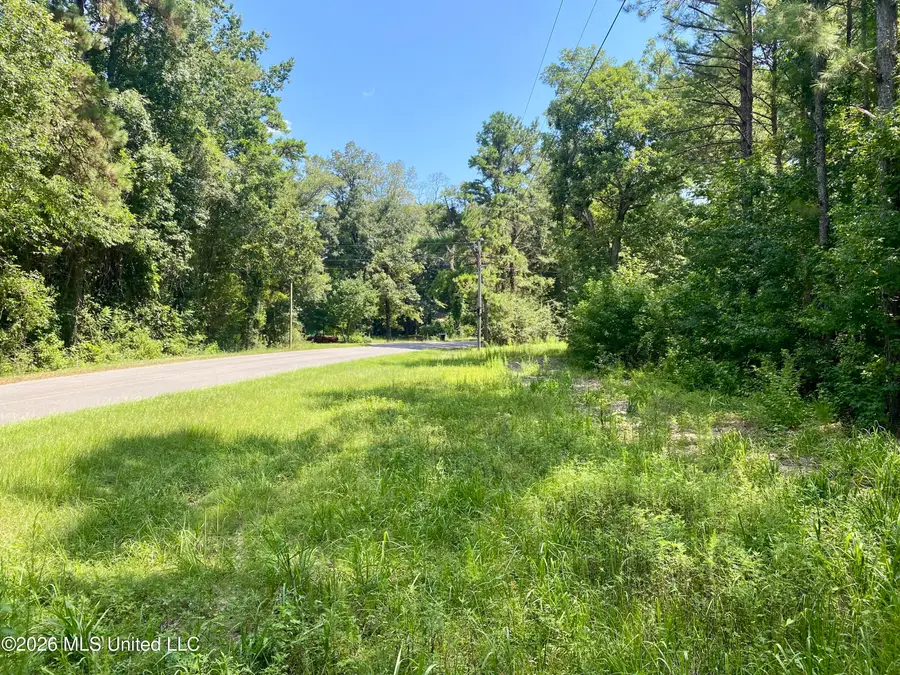 Xxx Clubhouse Drive, Wiggins, MS 39577 - #2