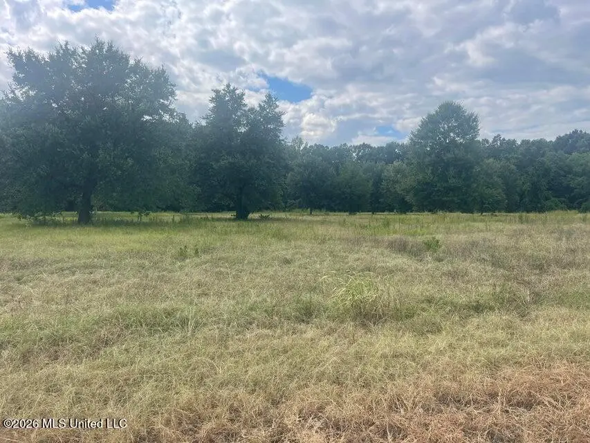 5 Ac S Main Street, Petal, MS 39465 - #1