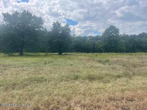 5 Ac S Main Street, Petal, MS 39465