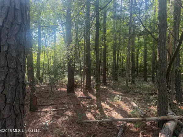 0 Mountain Creek Farm Road, Florence, MS 39073